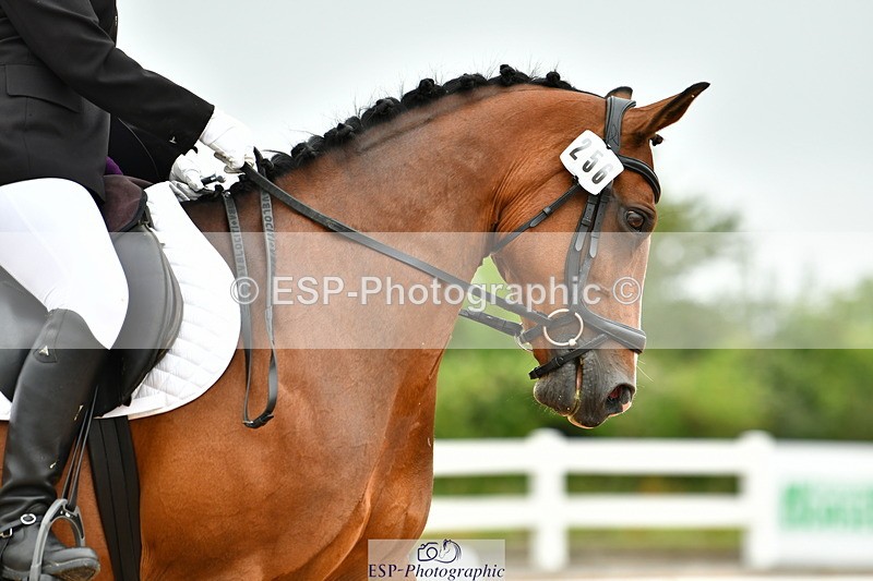 230708A-112024-02557 - Prelim 13