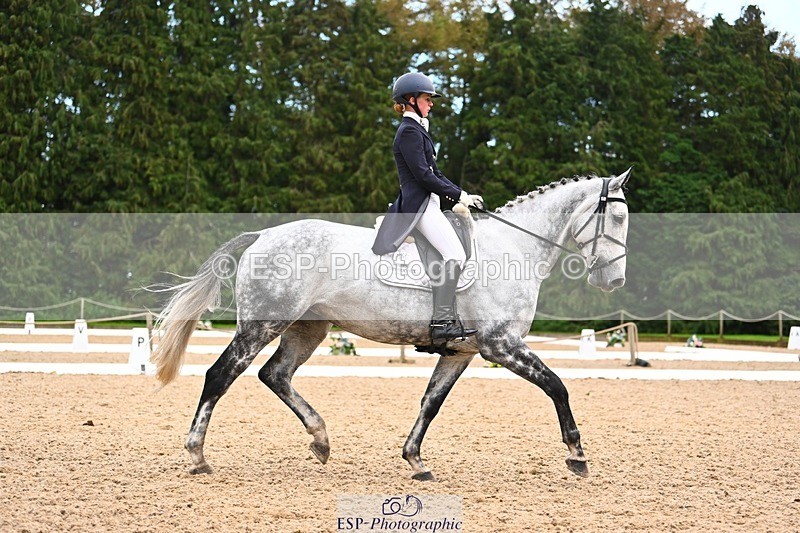 231020-165410-12417 - 316-I.ELLIE.JAY.BUMBLE-Henrietta.Ewell-DR