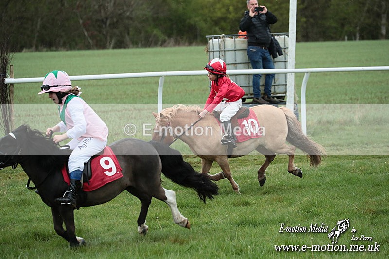 SHETPR 210425 212 - Shetland Ponies Paxford Races 21/04/25