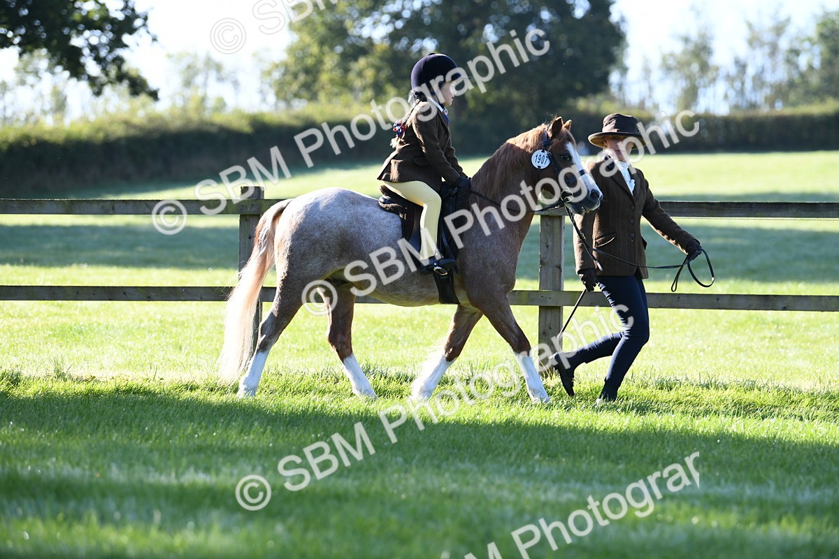 SBM_35325 - S17 - Condition & Turnout - Lead Rein