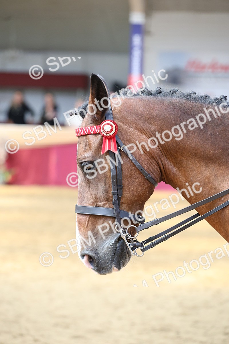 SBM_23567 - Class 904 - Supreme Final - Ridden Diamond