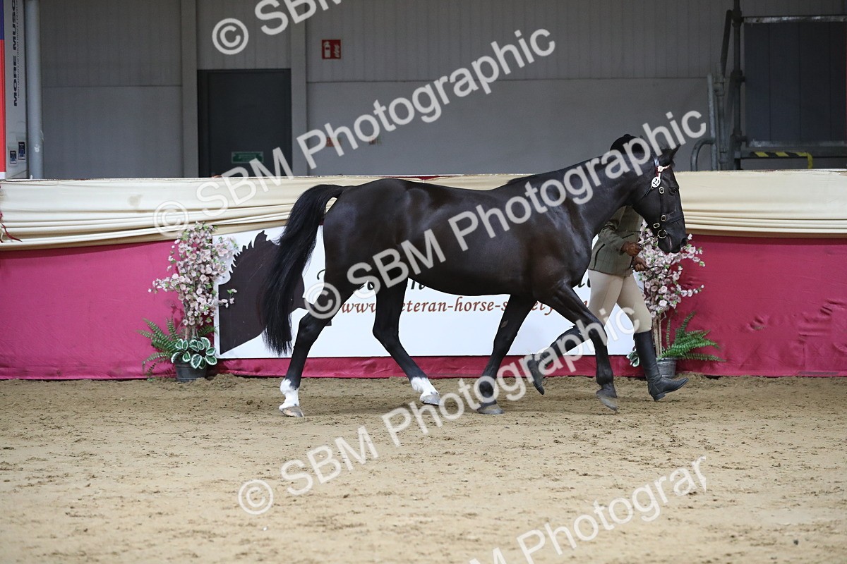 SBM_05031 - Class 8R- Regional -IH Veteran