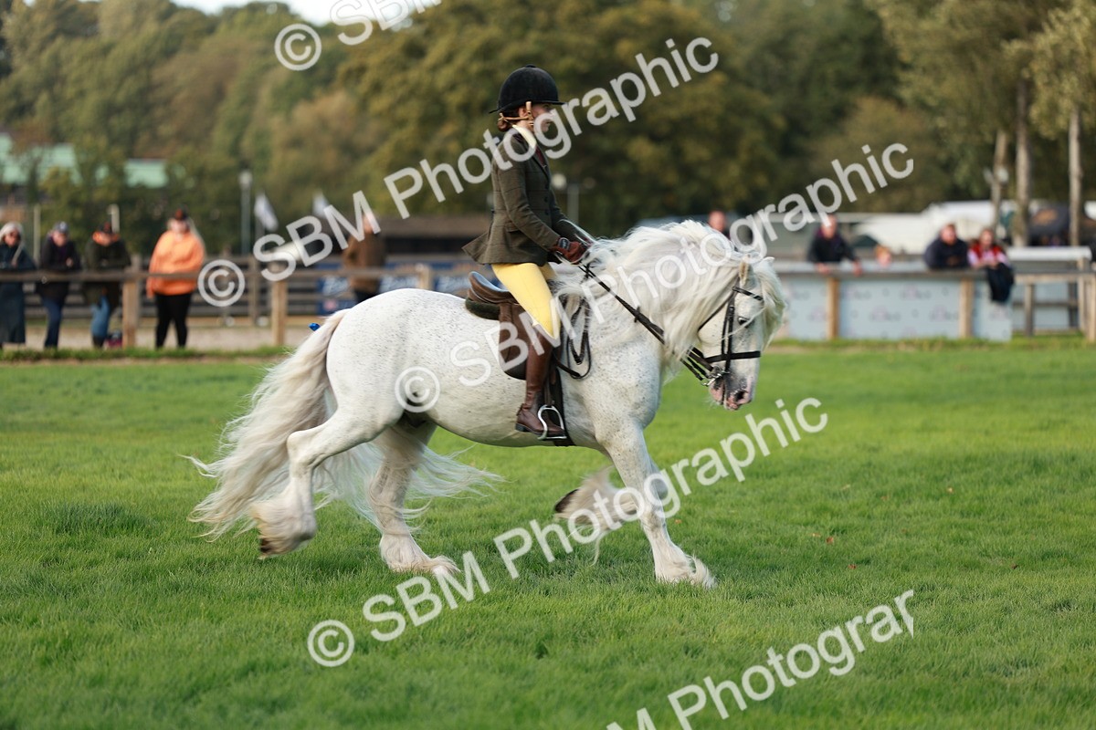 SBM_28818 - S7 - Novice & Newcomer Ridden Pony