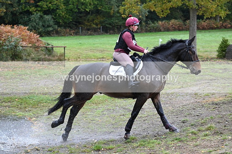 WJ7_3593 - Time 11:13 to 11:32