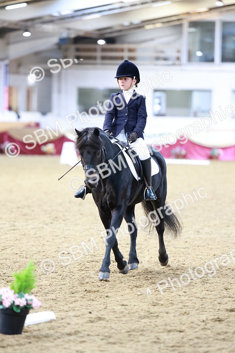 SBM_09202 - Class 61 - Dressage to Music