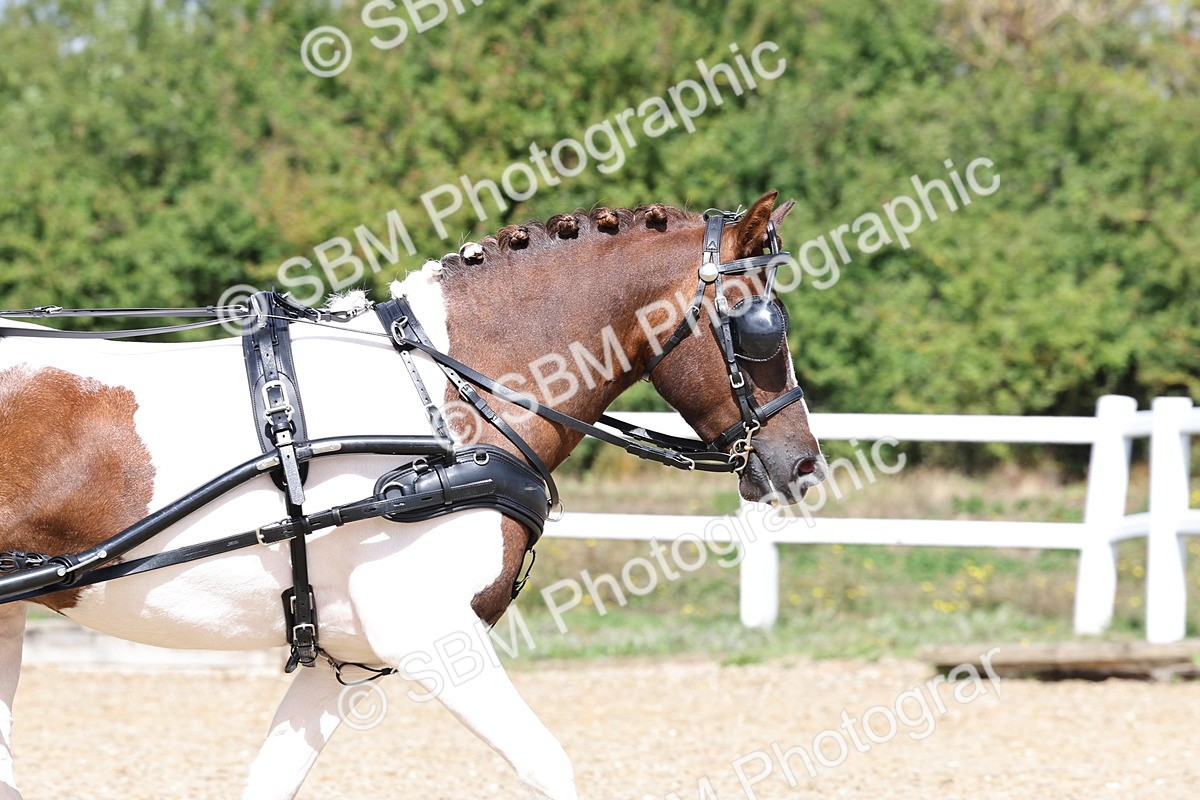 SBM_001023 - Class 10 - Veteran Driver