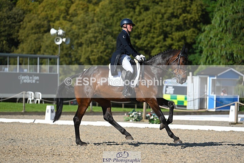 230526-172006-07574 - 262-TREAMBLE-Finn_Healy-WEDTrotUp+DR