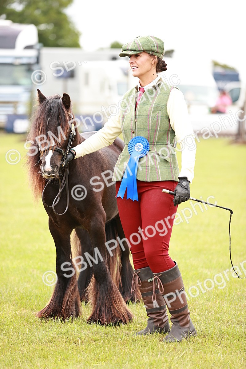 SBM_06006 - Class 39-41 TGCA In Hand and Ridden