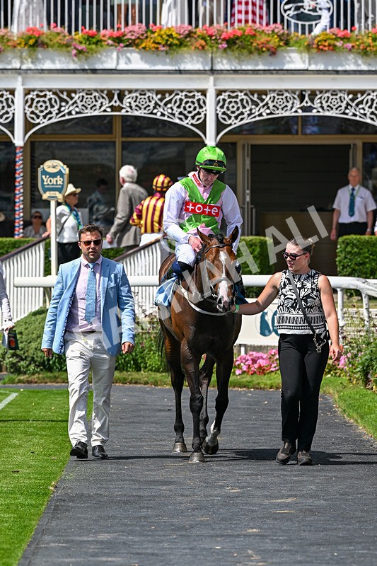 110726-Race 1-Big Cigar-6464 - Race 1 14.02pm John Smith's Nursery Handicap