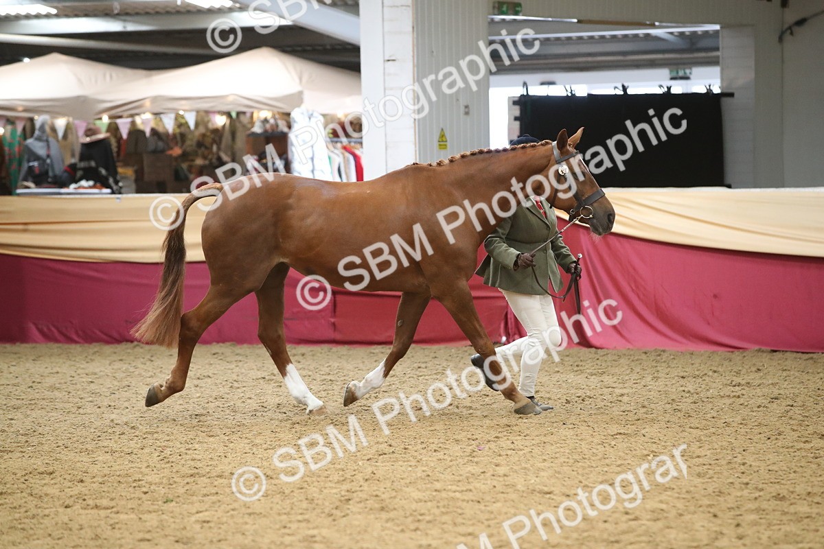 SBM_05708 - Class 9R - Regional IH Pre-Vet