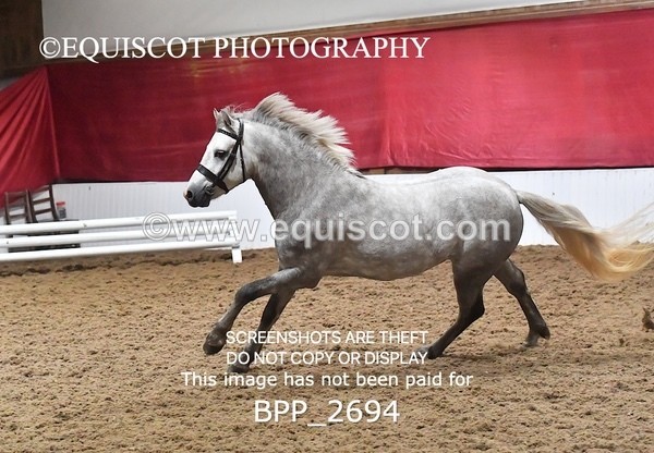 BPP_2694 - LOOSE JUMPING / SPSS