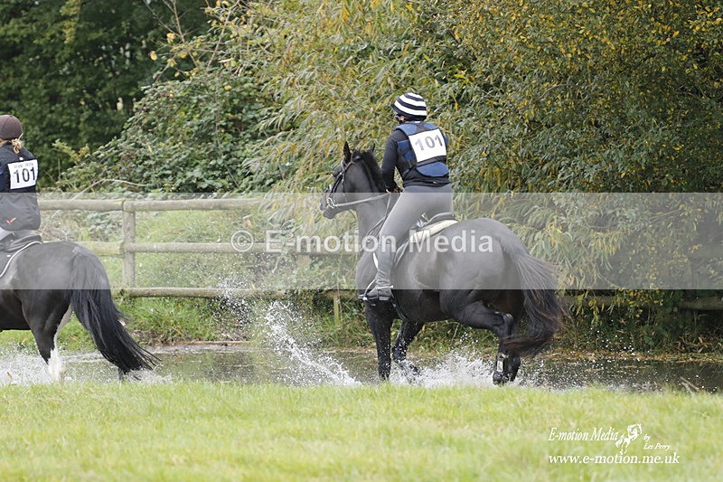  WWHT 171021 1799 - Novice Pairs (0.80m)  17/10/21