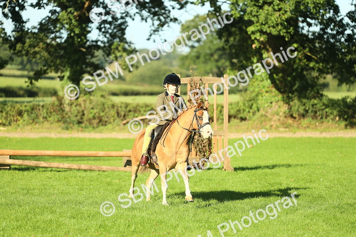 SBM_36339 - S29 - Novice & Newcomers Working Hunter Pony