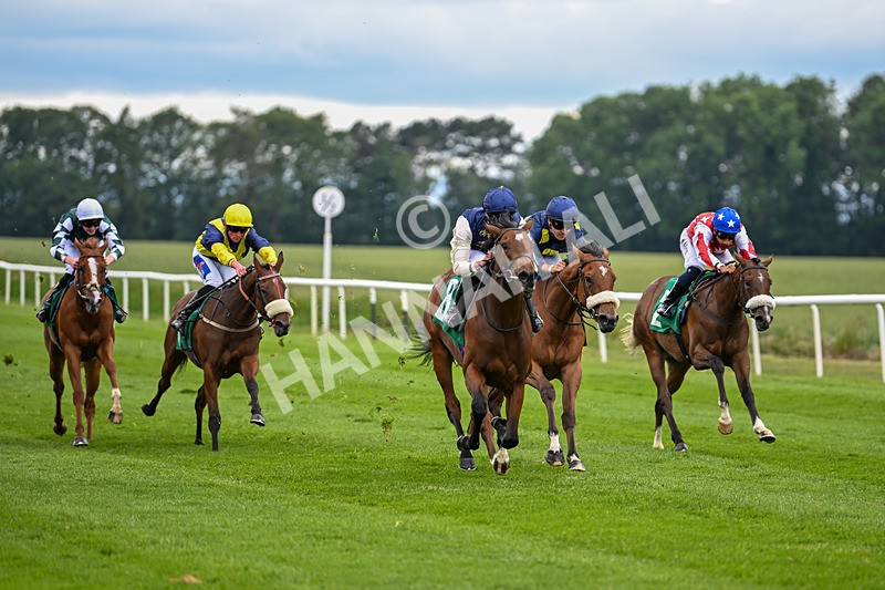 170625-Race 1-Royal Fixation-4327 - Race 1