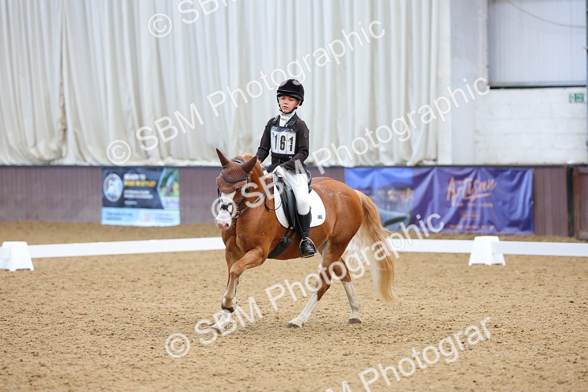 SBM_002963 - Novice