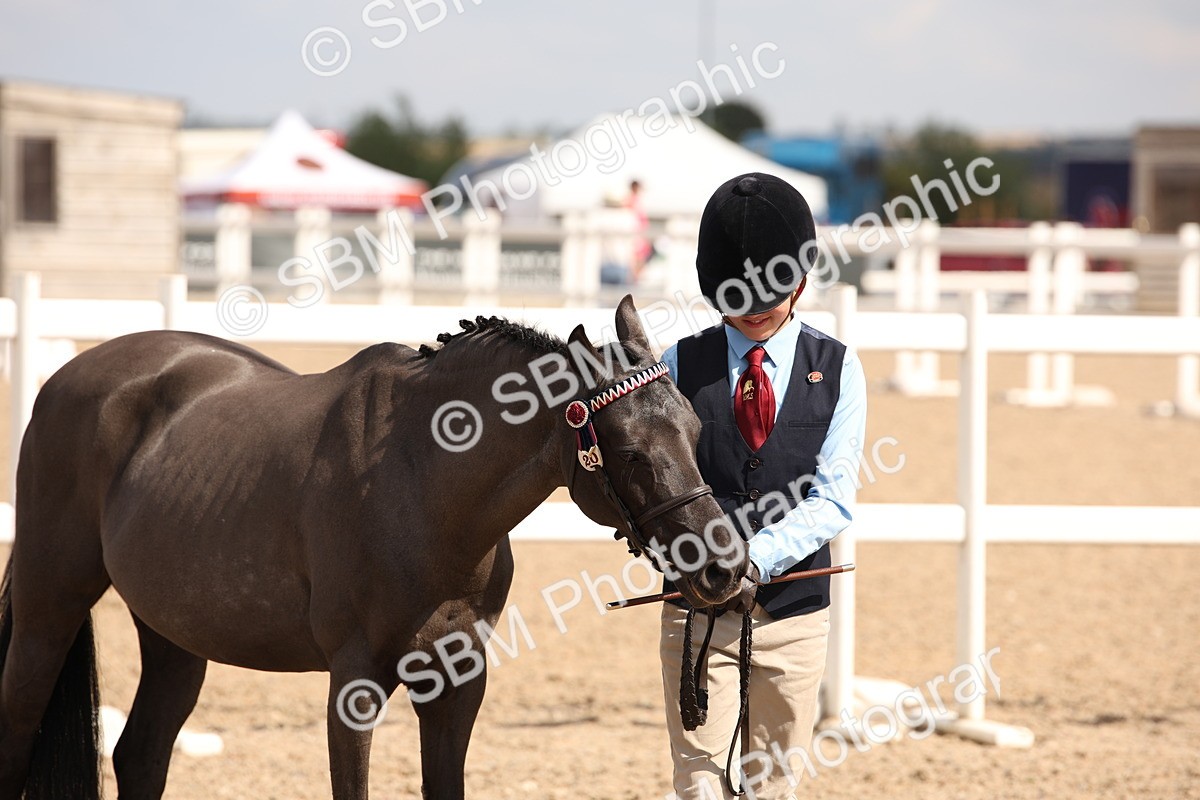 SBM_03773 - Class 19 Judge's Favourite
