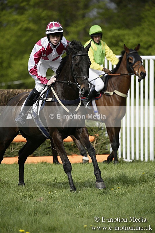 PtP 170417 269 - Old Berks Point-to-Point Lockinge 17/04/17