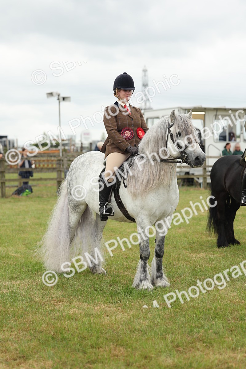 SBM_09034 - Class 78-80 - Ridden M&M Non Welsh Ponies