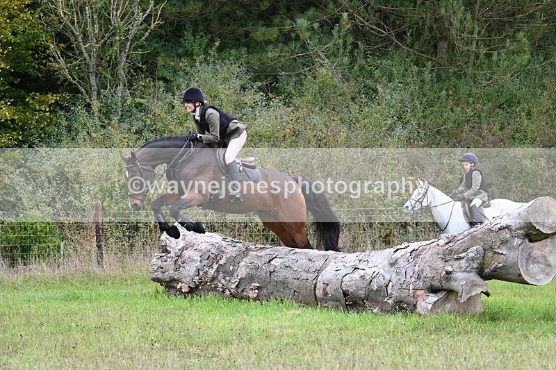 WJ7_3671 - Camera 1 Line 1