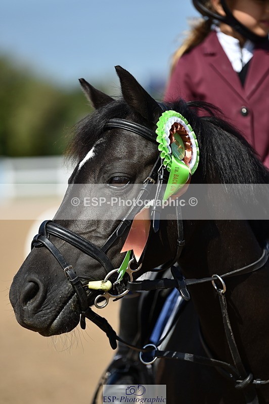 230903A-113658-04234 - Cls 18 Pony Brit Novice & 80cm Open