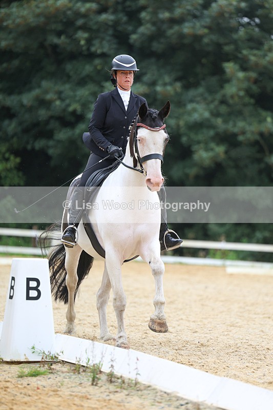 3E7A7084 - Class 7: Novice 4 2024 Section B