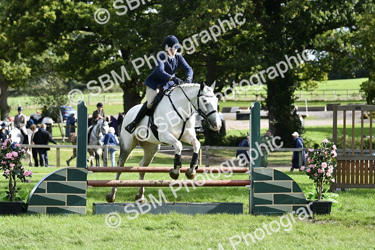 SBM_49974 - S34 - Novice & Newcomers Working Hunter