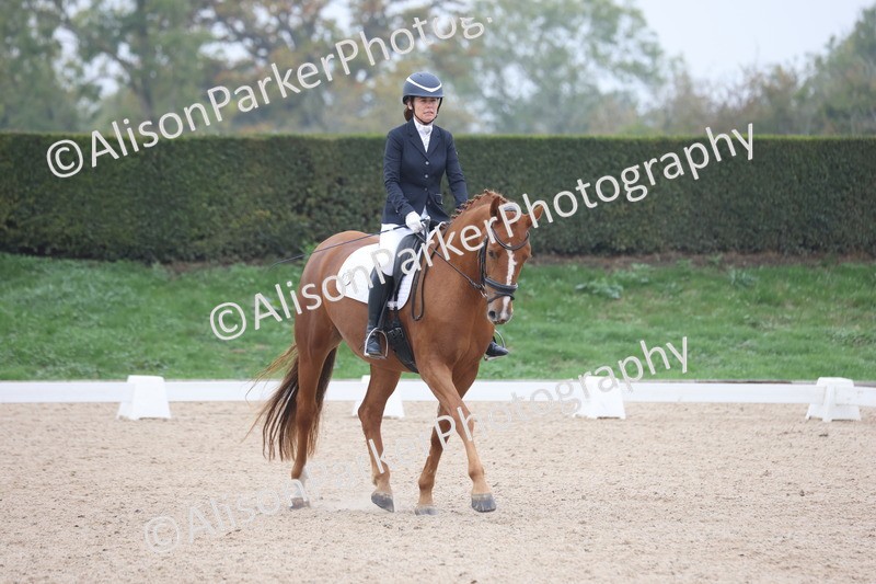 20251012-0638 - Class 5 - Elementary 5