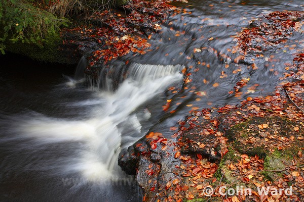 Small Waterfall at Hamsterly.Ref 4620 - County Durham