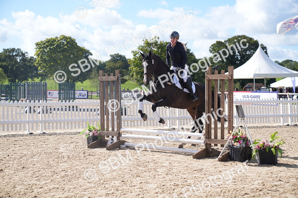 SBM_02540 - J54 Clear Round 45cm