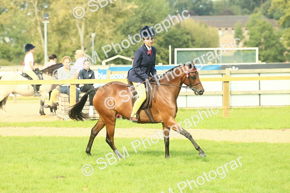 SBM_68090 - S57 - Part Bred Pony Ridden