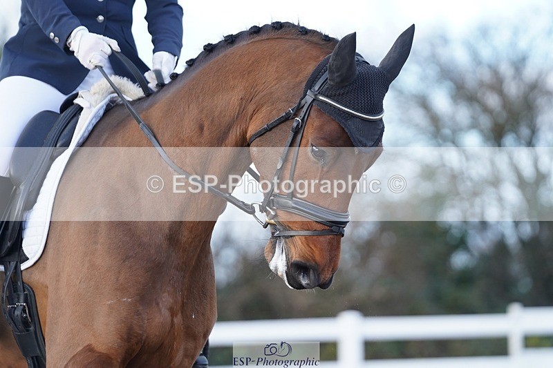 241214-124734-00507 - 135-Ellie.Discombe-Lanche