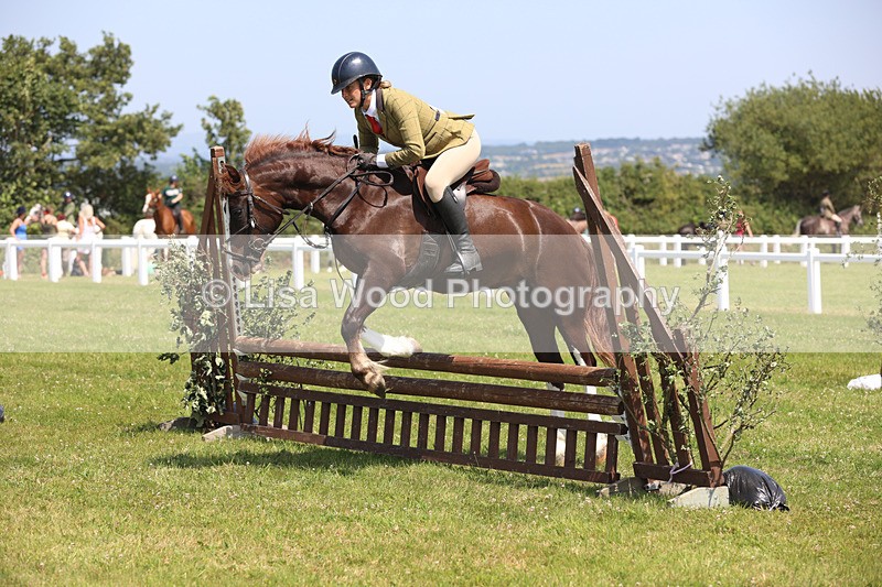 JPP_3040 - Class 22: Working Hunter 70cm