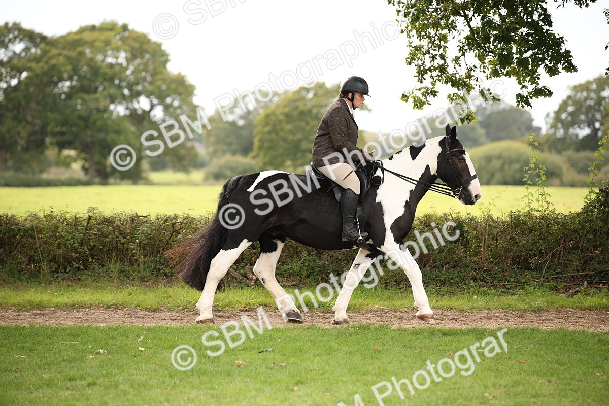 SBM_72348 - S67 - Show Cob Ridden