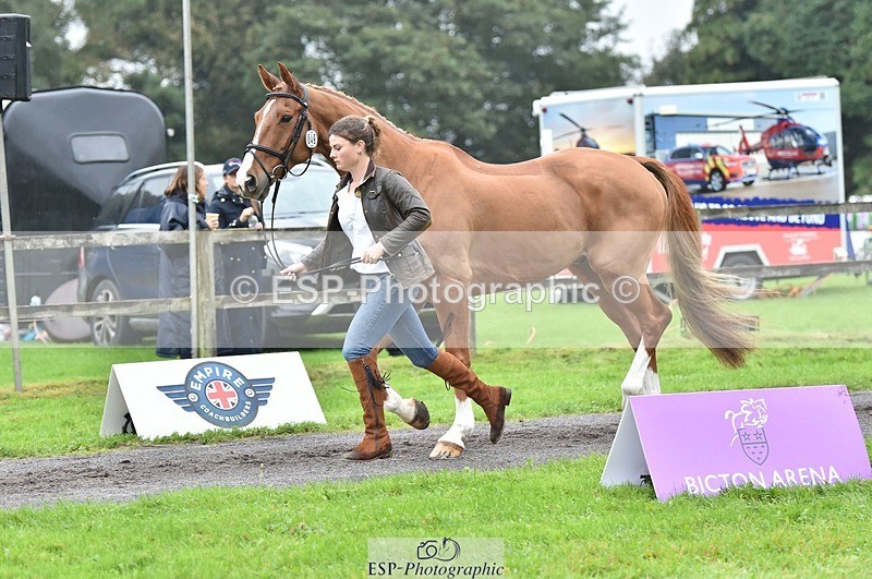 231018-123724-00402 - 049-AUGUSTUS.IMPERIOUS-Ines.Mitchell-TrotUp