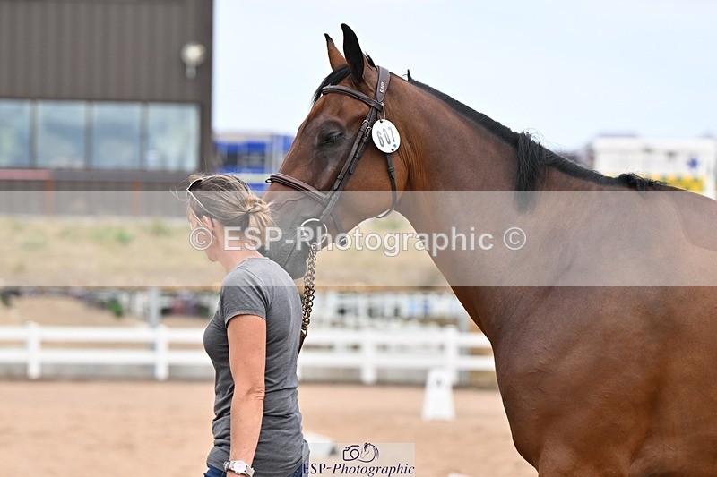 250716-154912-02198 - Trot Up 3.30 to 4.30