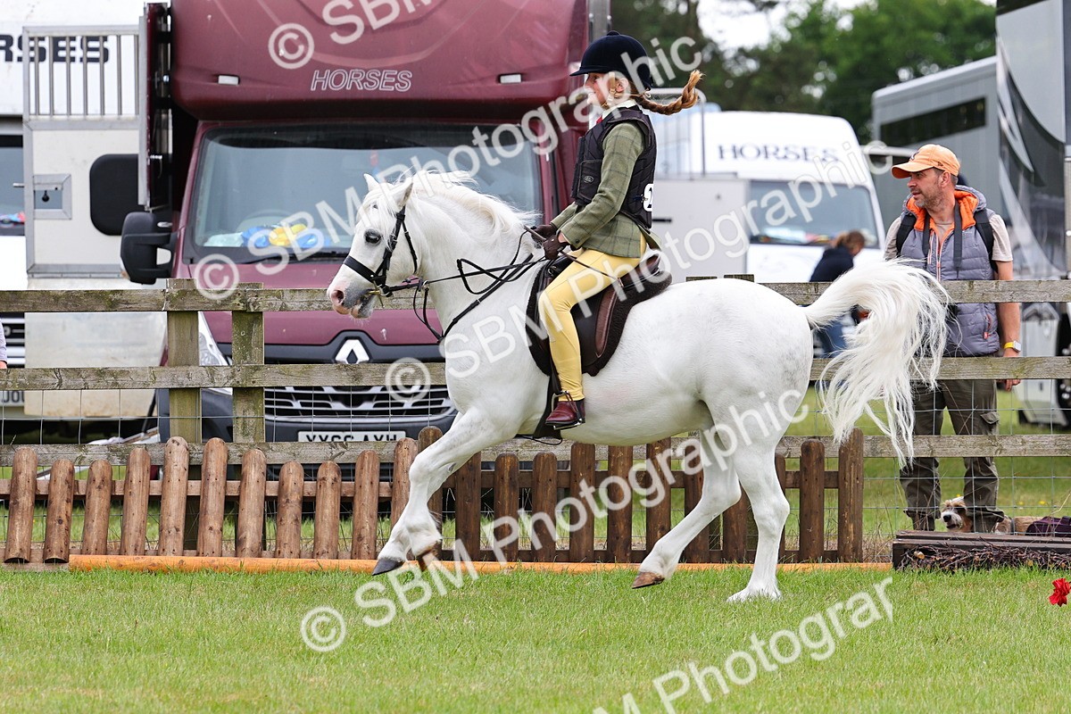 SBM_08760 - Class 42-43 - LIHS BSPS Heritage Working Sports Pony