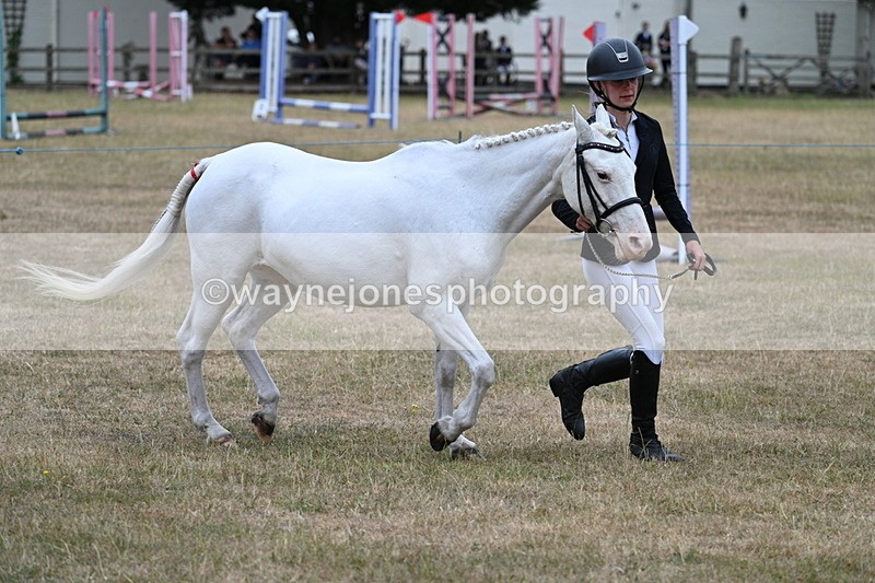 WJ7_8324 - Class 4 Prettiest Mare up to 14.2hh