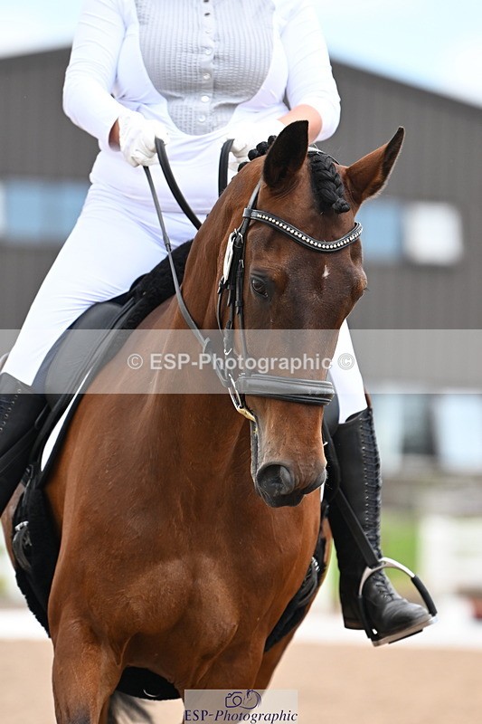 240621A-115435-02432 - Cls 5 BD Novice 37A