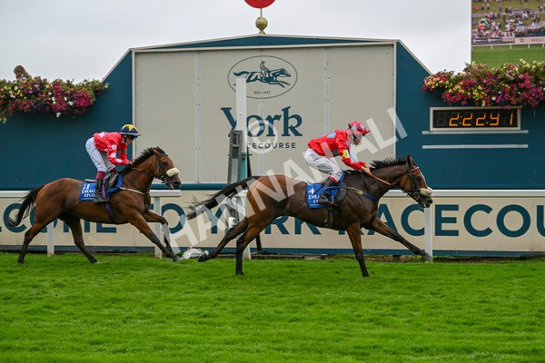080924-Pony Race-8513 - Pony Race 1.00pm The Dragon (TV and Film) Studios Pony Race 148cm & Under