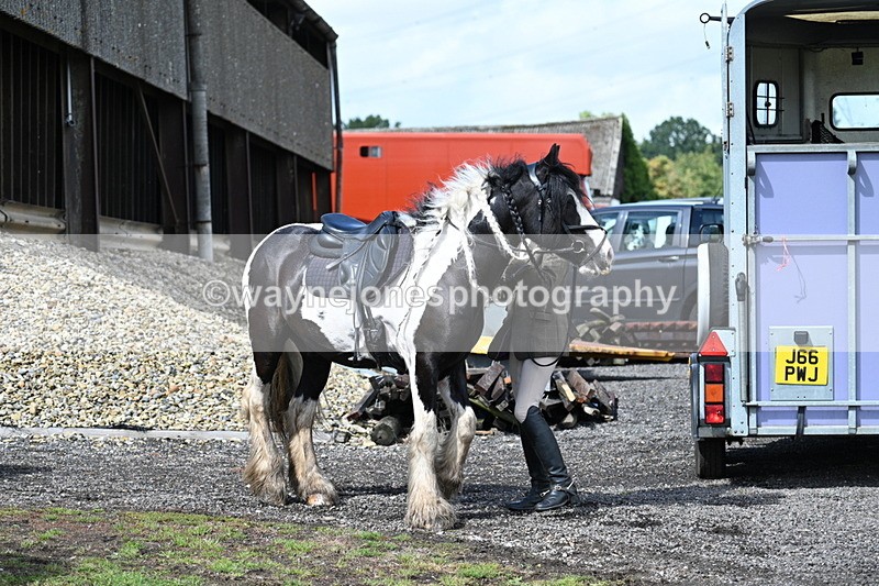 WJ7_7440 - Berks & Bucks at Blandy’s Farm 31-08-25