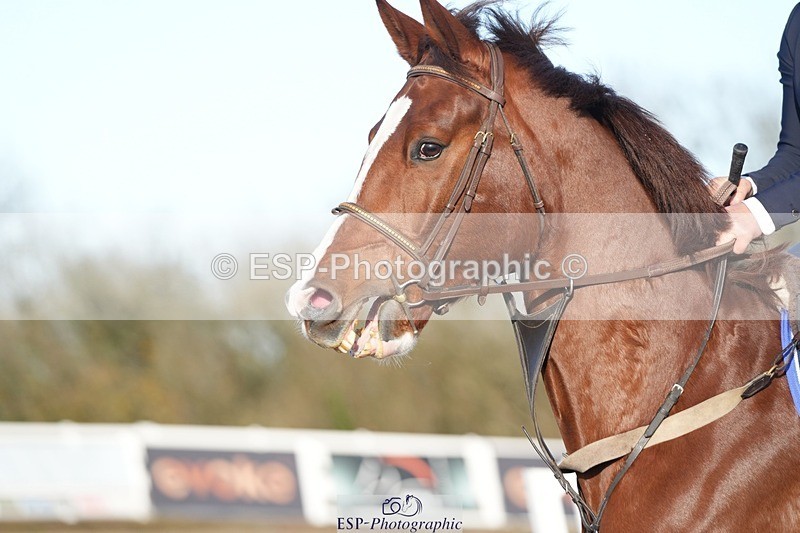 251129-112439-00287 - 70cm