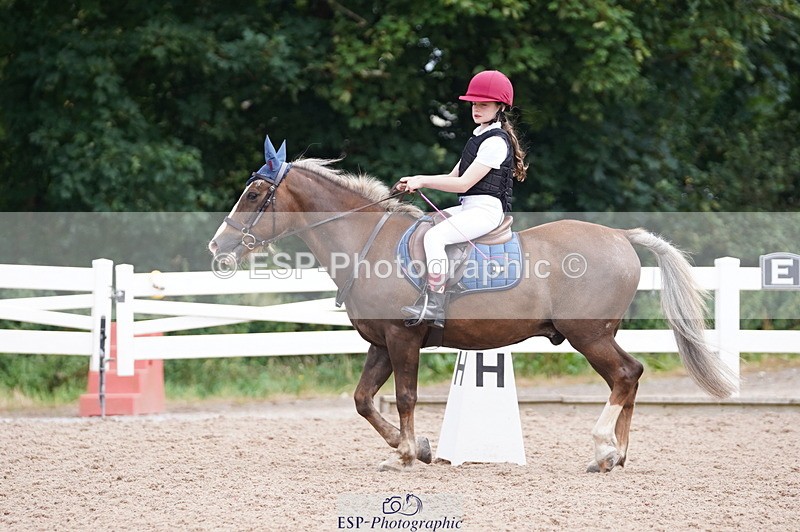 240809A-104714-00659 - Dressage Competition