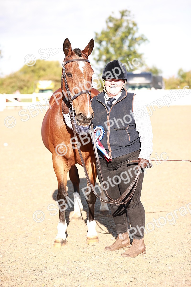 SBM_11223 - Class 401 - IH  Veteran horse