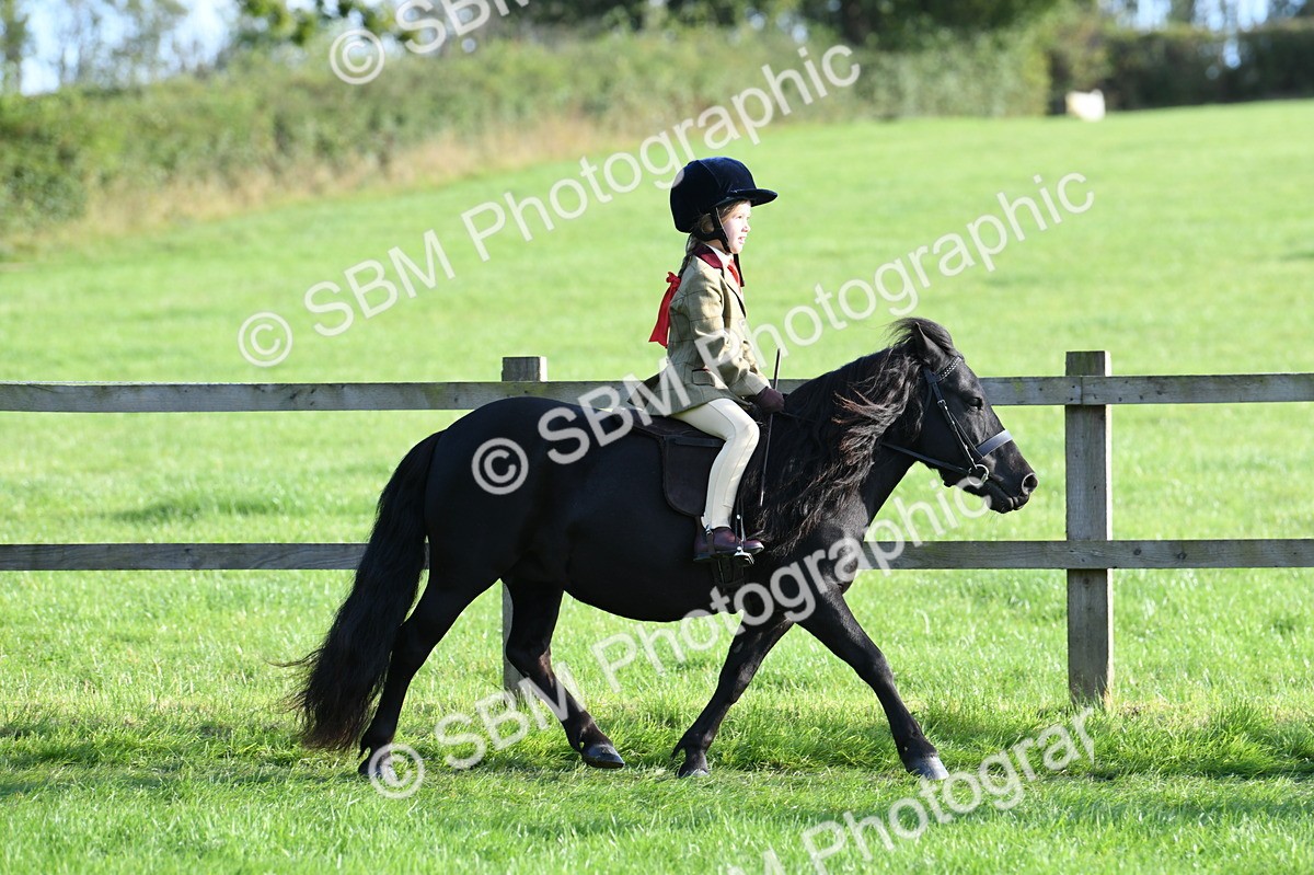 SBM_54023 - S23 - 1st Ridden Mountain & Moorland Pony
