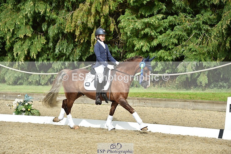 230812-160936-05448 - Novice Bronze Presentations