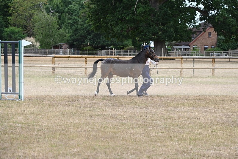 WJ6_8545 - Class 10 Coloured in Hand