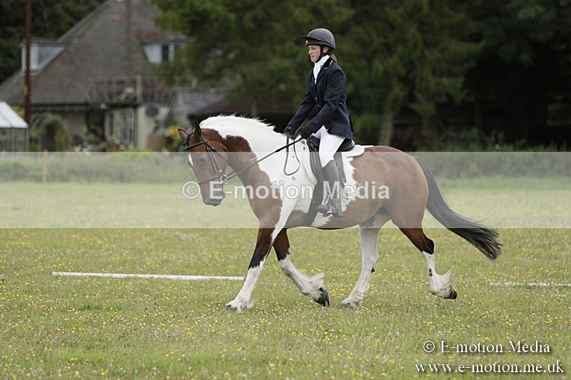 BVR160717-688 - Class 1 & 23a Dressage 16/07/17