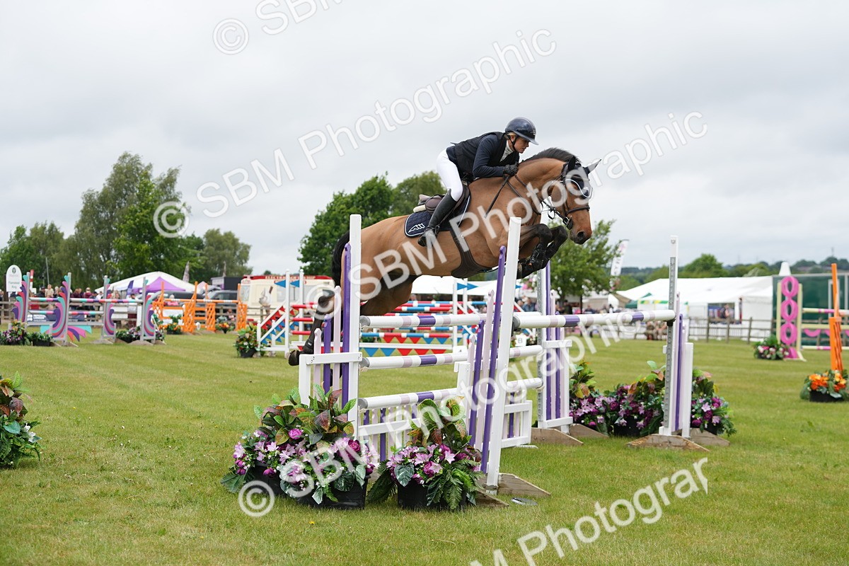 SBM_03373 - Class 201 - British Horse Feeds Speedi Beet Horse of the Year Show Grade  C