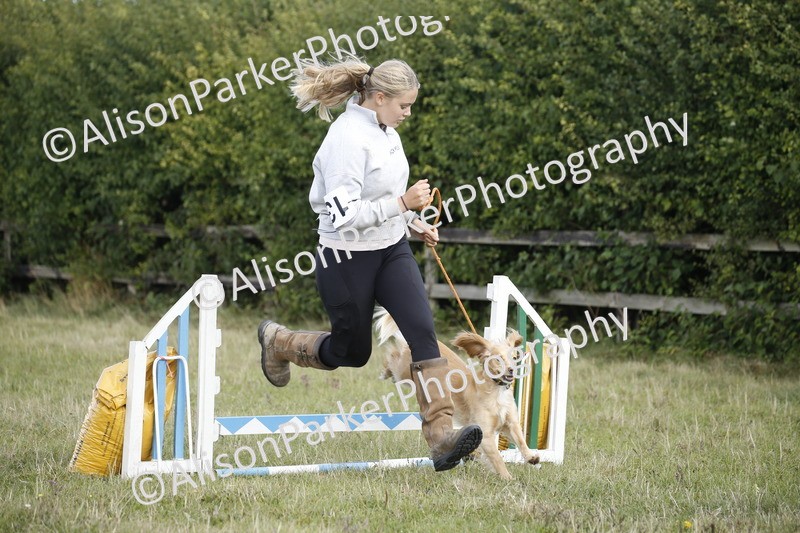 20250831-3866 - Dog Show