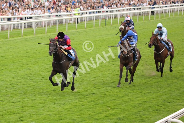 yr24072021r6-4 - Race 6 5.00pm Sky Bet Supporting New Beginnings